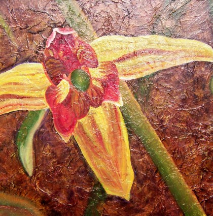 Orquídea